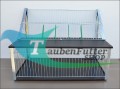 new_rancho_sputnik_neon_ Ausflüge_.jpg