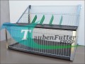 new_rancho_sputnik_neon_ Ausflüge_.jpg 1.jpg
