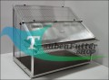 rancho_Sputnik_Ausflüge_neon_alucurier