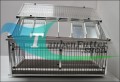 rancho_Sputnik_Ausflüge_neon_alucurier