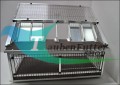rancho_Sputnik_Ausflüge_neon_alucurier